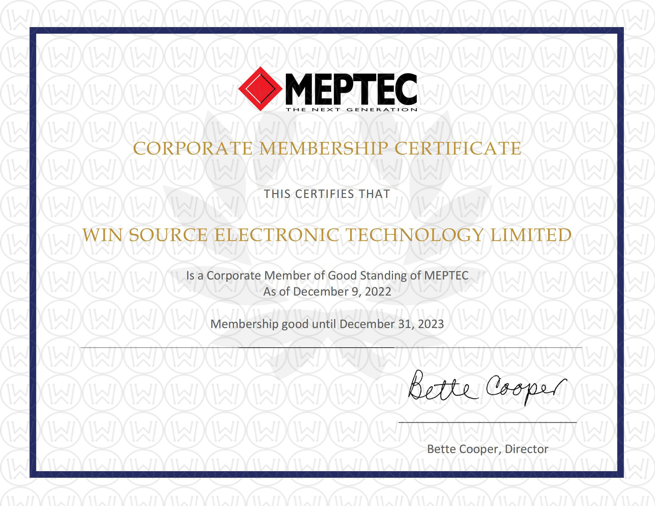 MEPTEC--Win Source Electronic Tech Ltd certificate_00.jpg